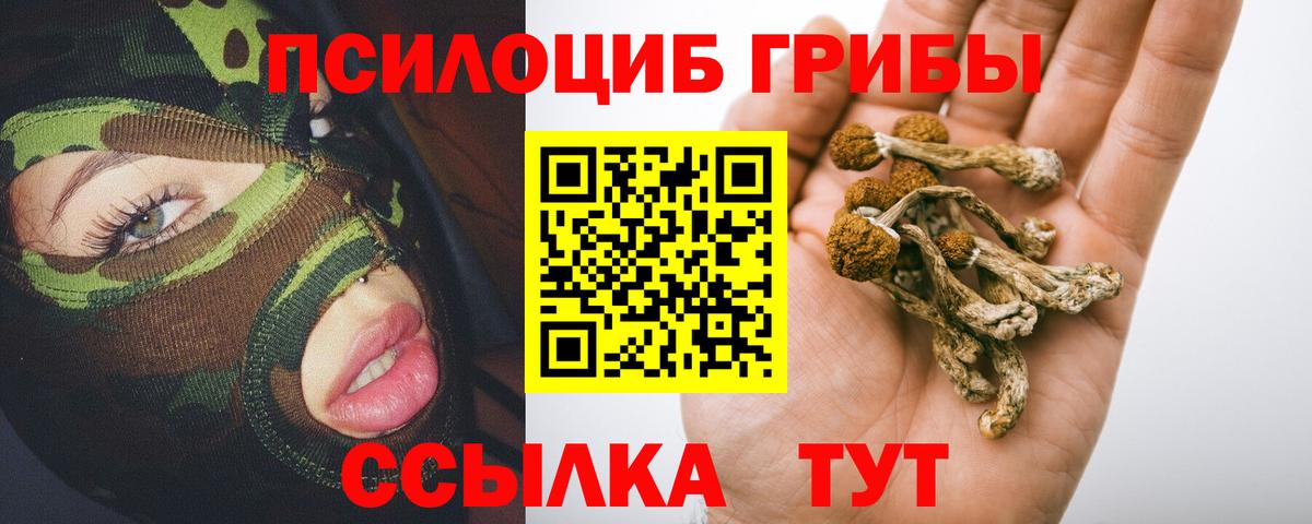 Псилоцибиновые грибы прущие грибы  Галлюциногенные грибы MAGIC MUSHROOMS  Вязники  что такое   Вход с VPN 